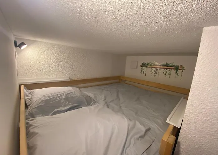 L'escale Du Penon, Entre Pins Et Ocean Lejlighed